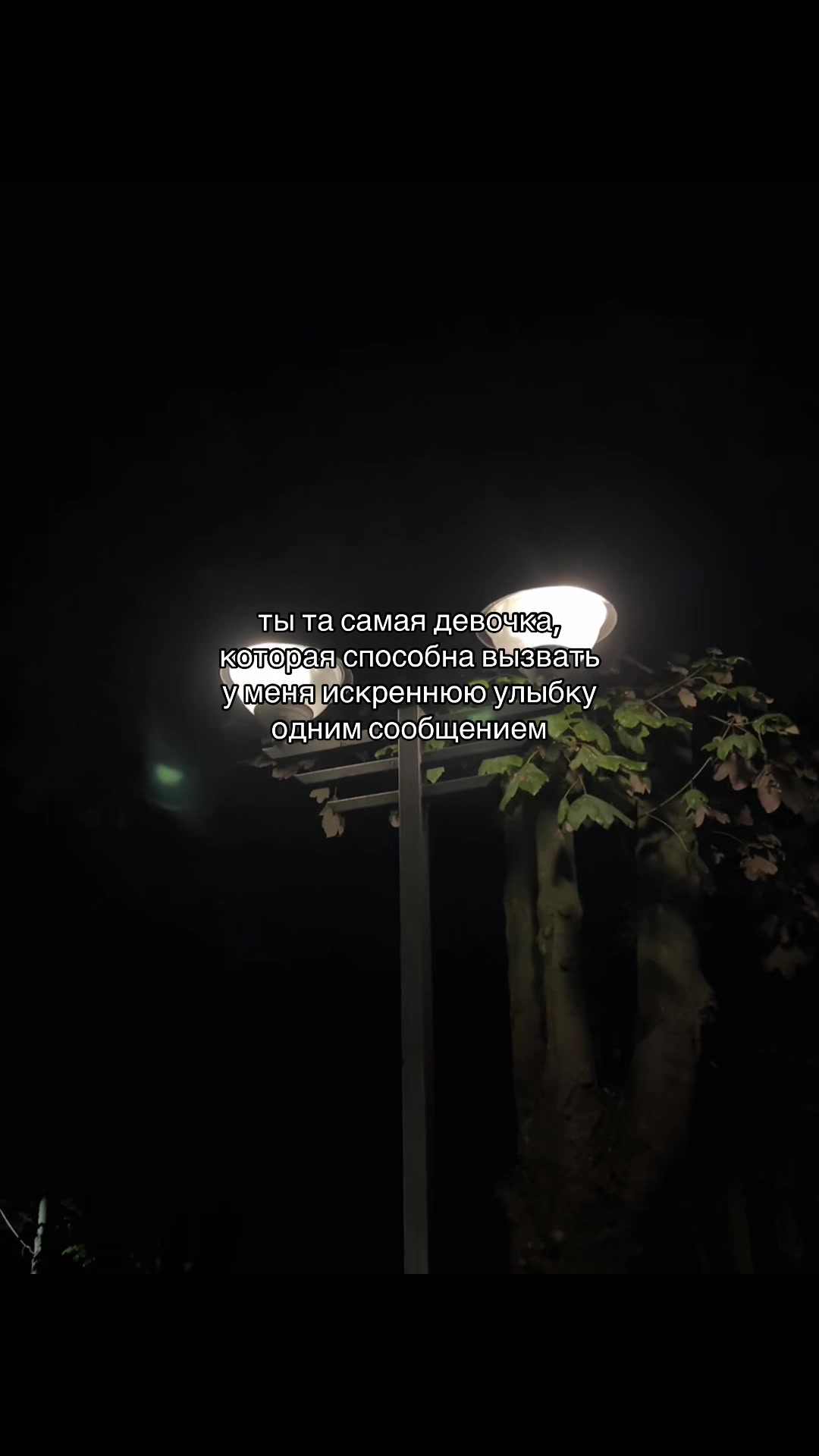 @мур мур 🐾
