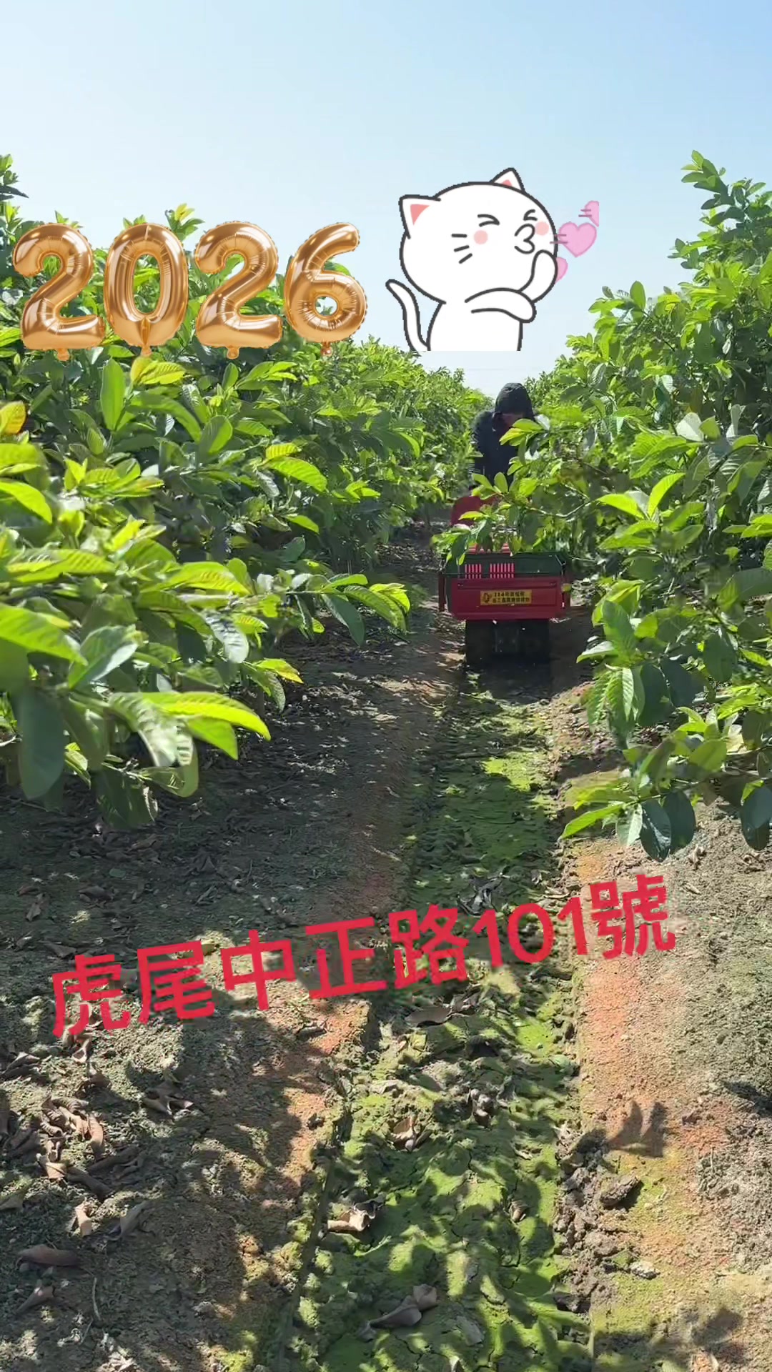@滿幸福果園
