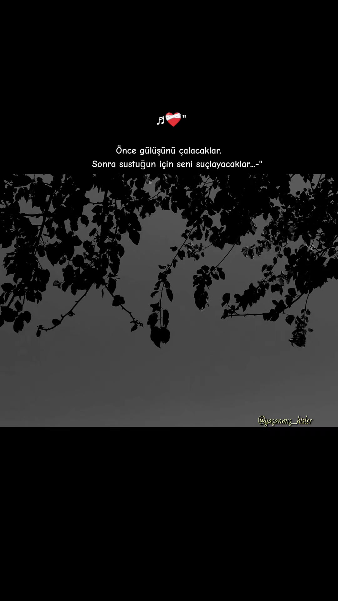 @•ʏᴀꜱ̧ᴀɴᴍɪꜱ̧ ʜɪ̇ꜱʟᴇʀ•