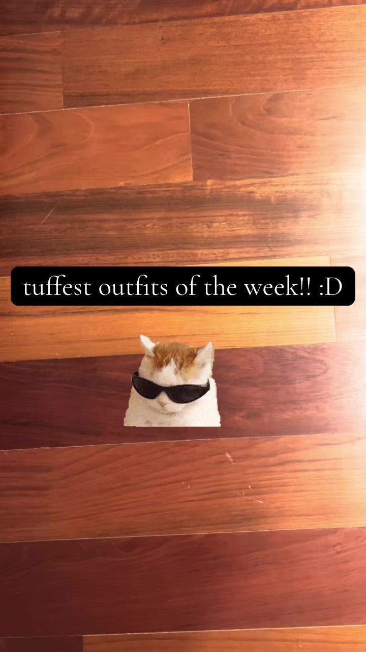 @coolcat