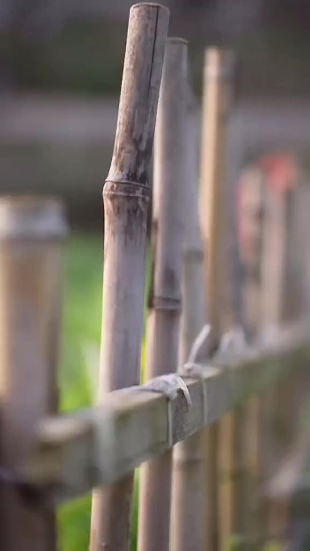 @GuYue