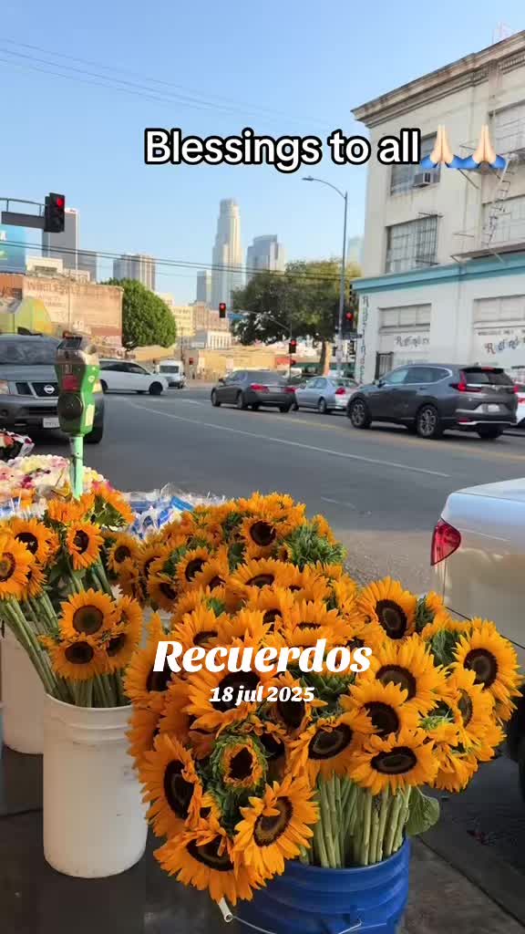 @Clari Velasquez ☘️🌹🌻🍒