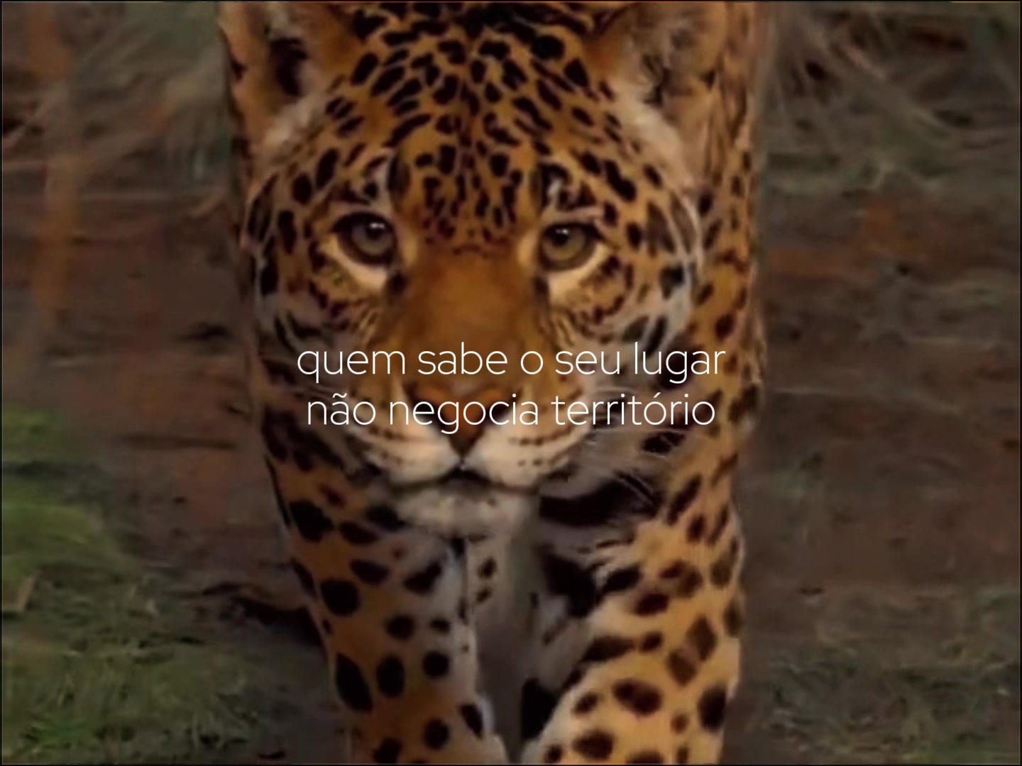 @Camila Brito