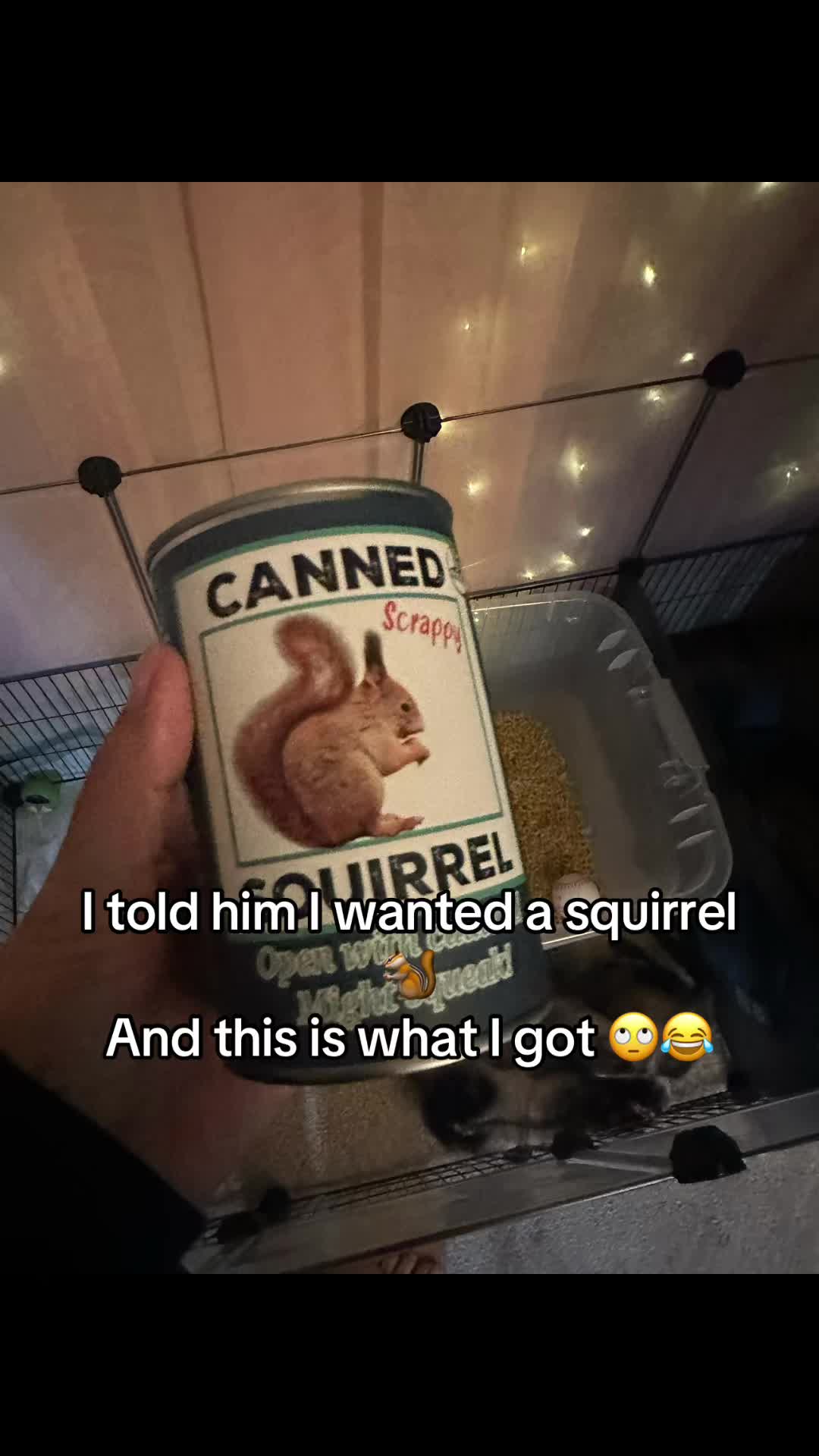@lori_liz80
