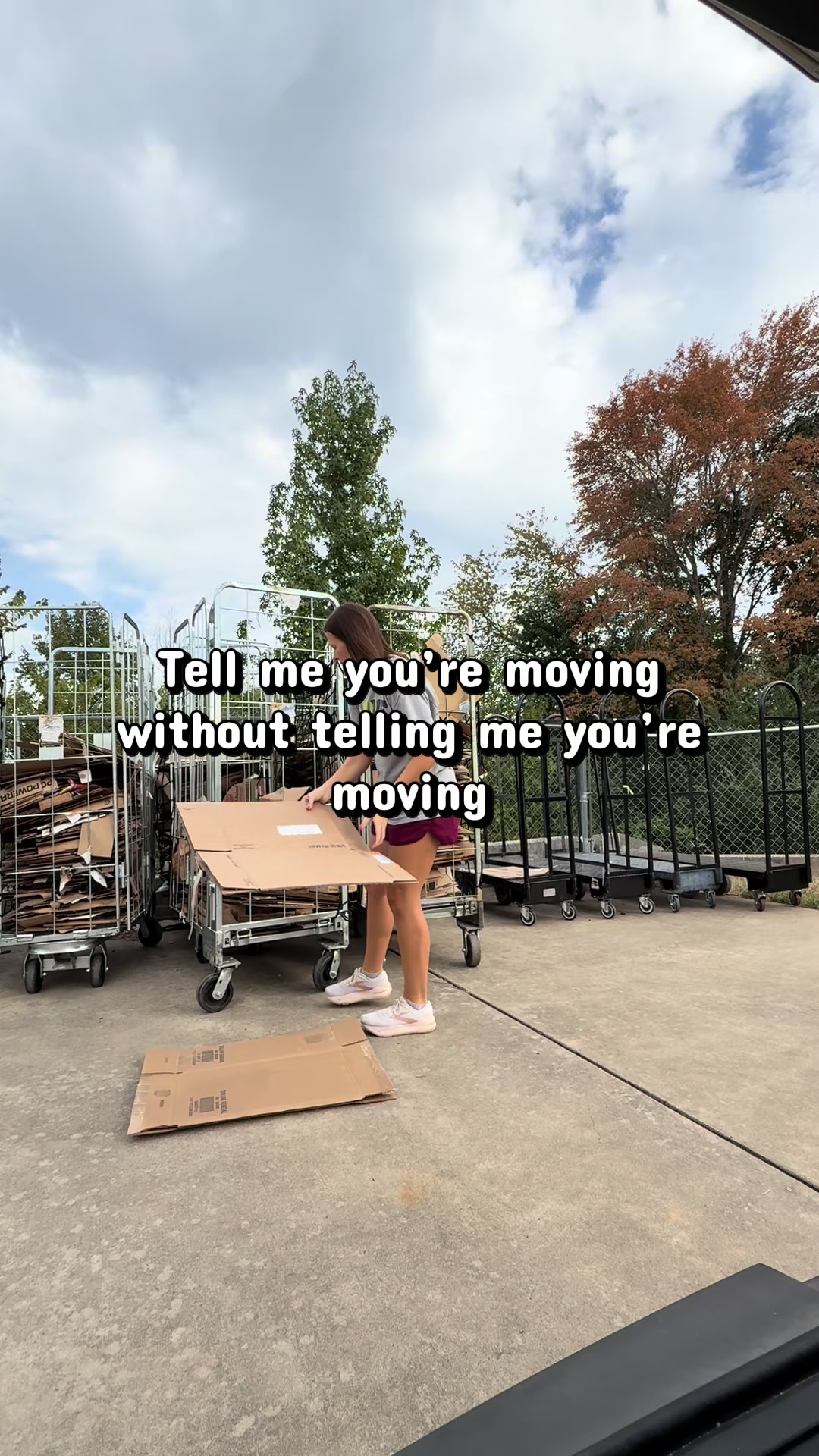 @LP ✨