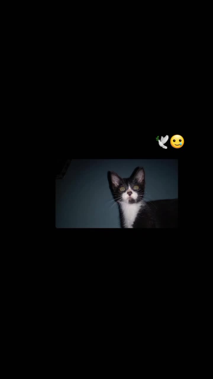 @๐ฆzarayda๐๐