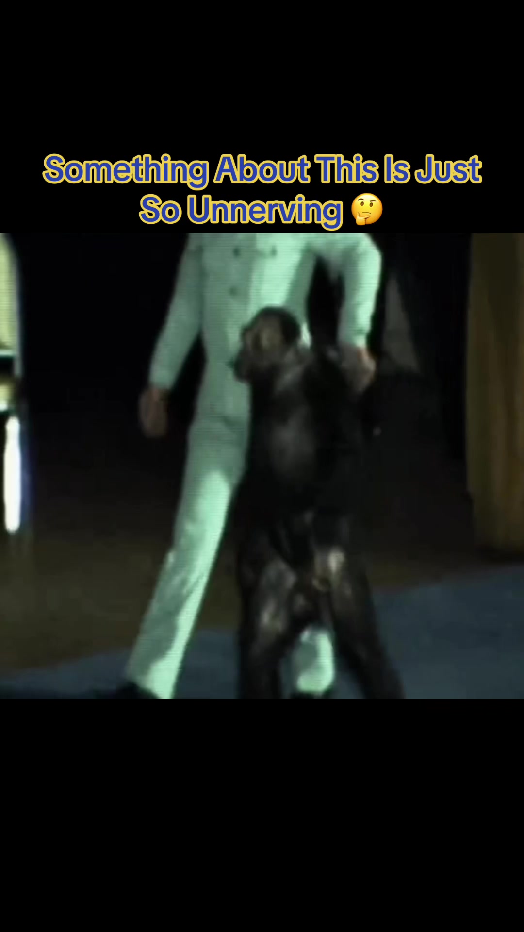 @IdkSterling