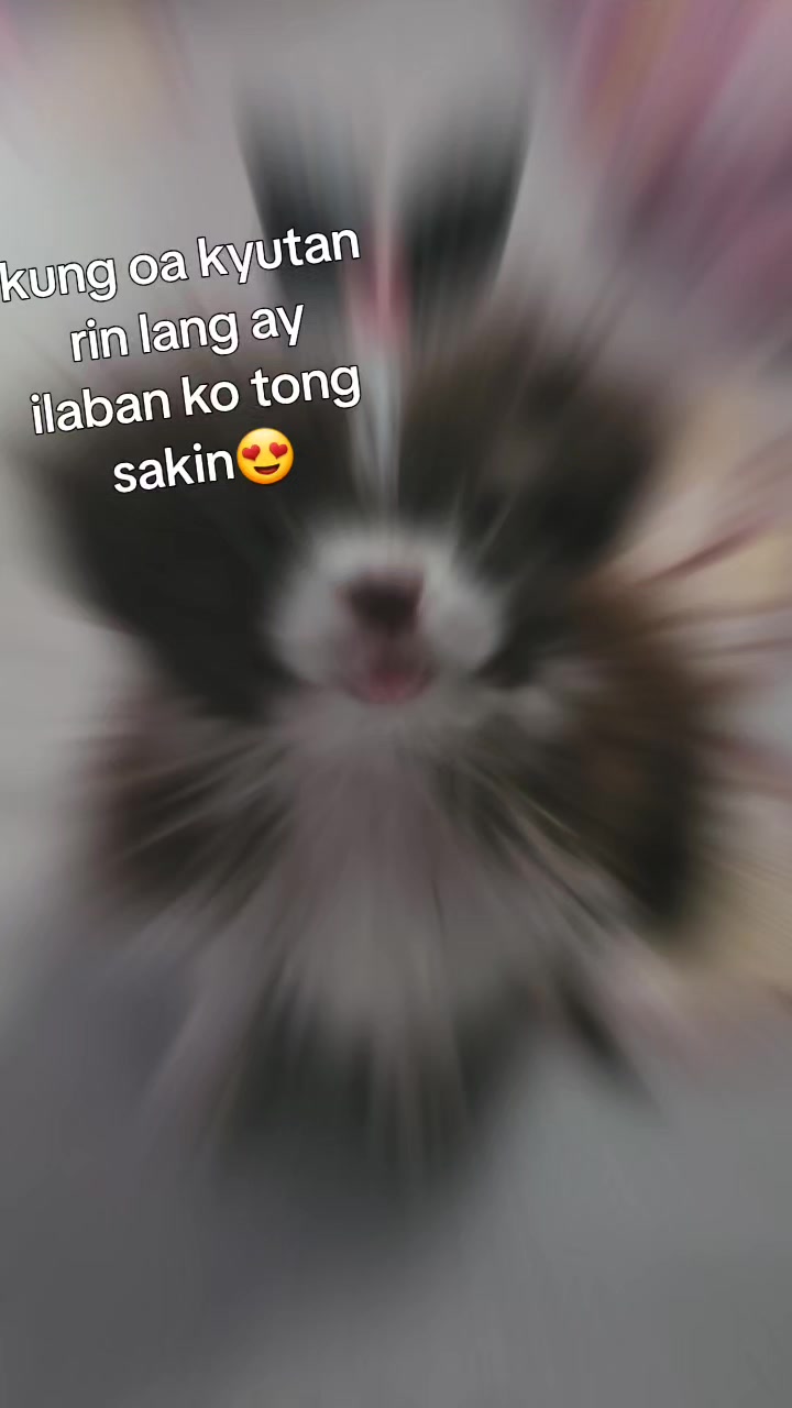 @Marianne Sy
