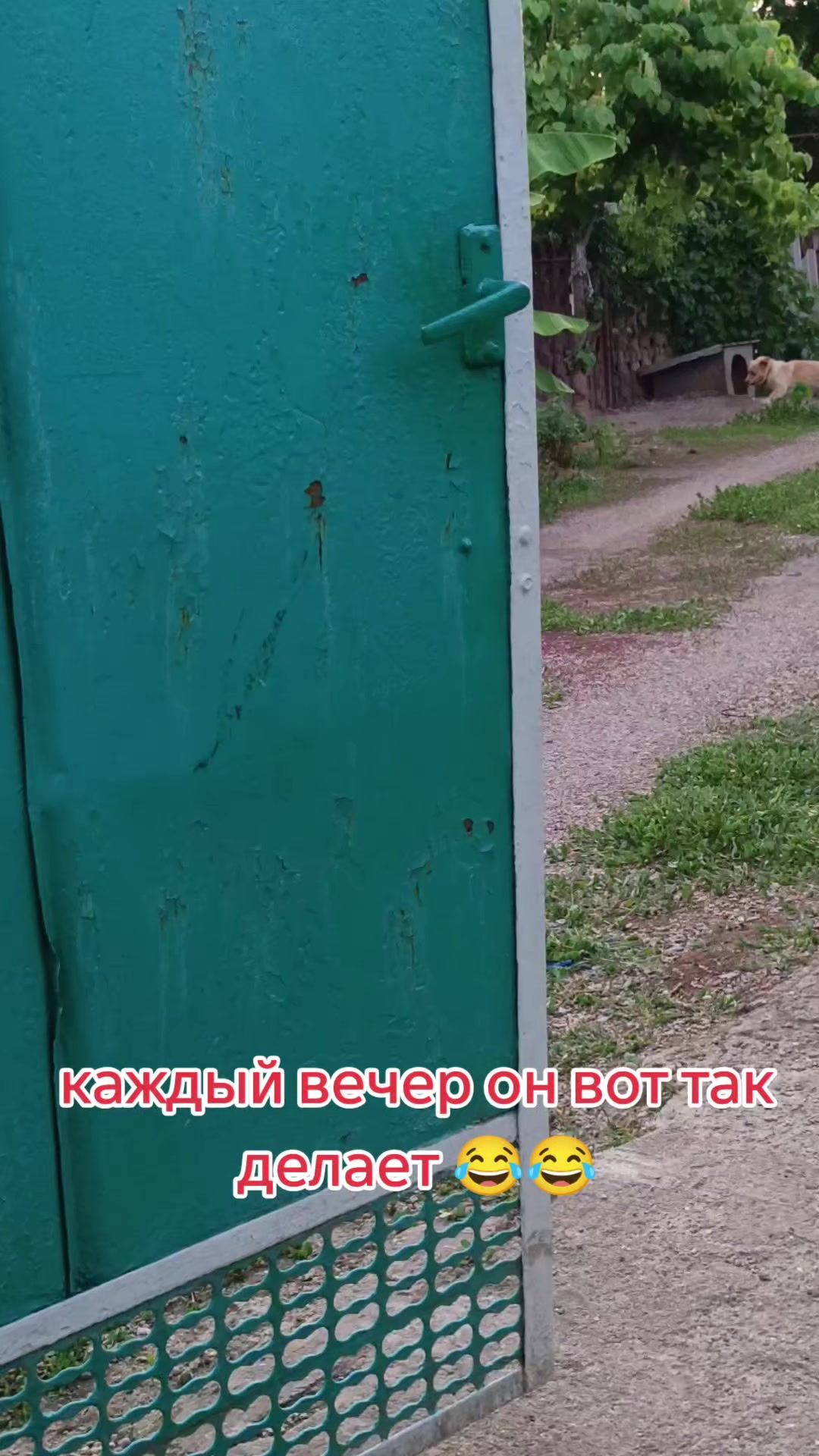 @Алёна