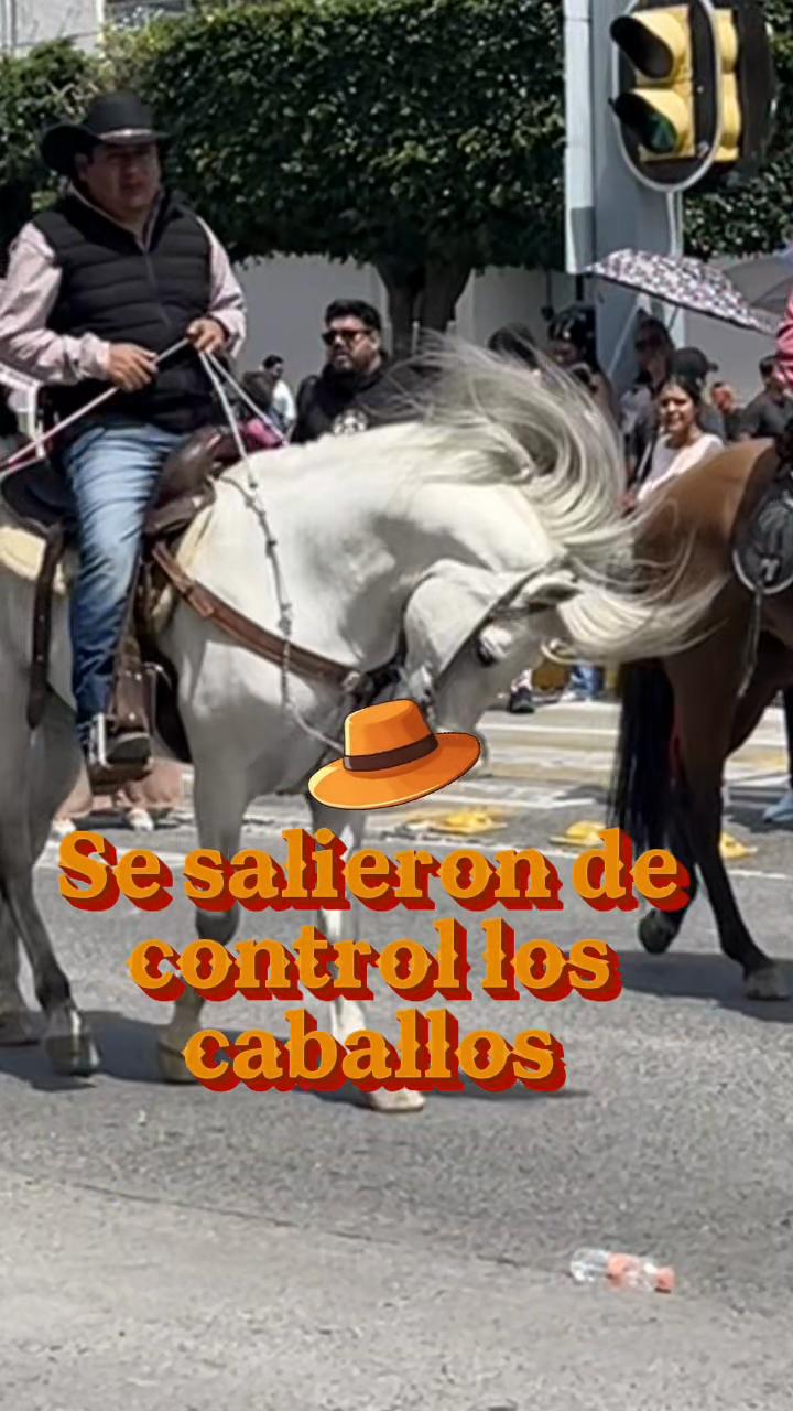 @pao salazar