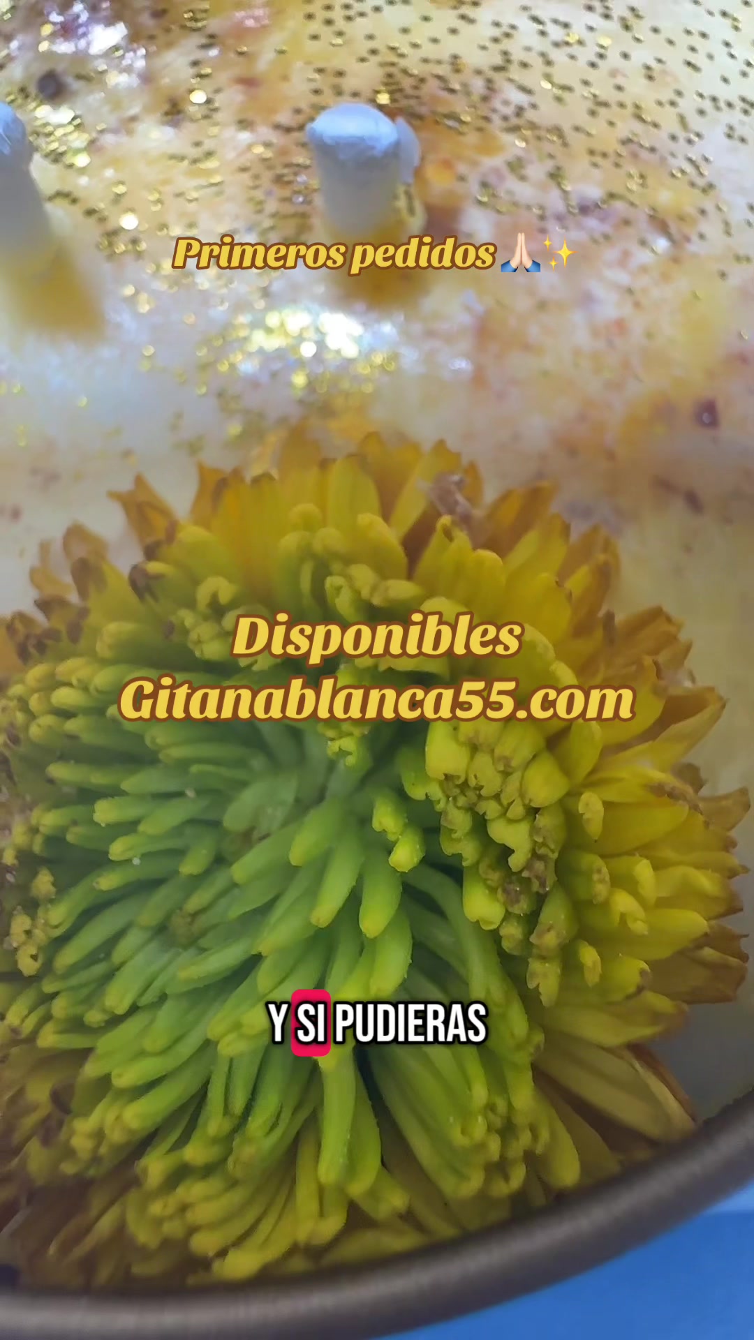 @GitanaBlanca55