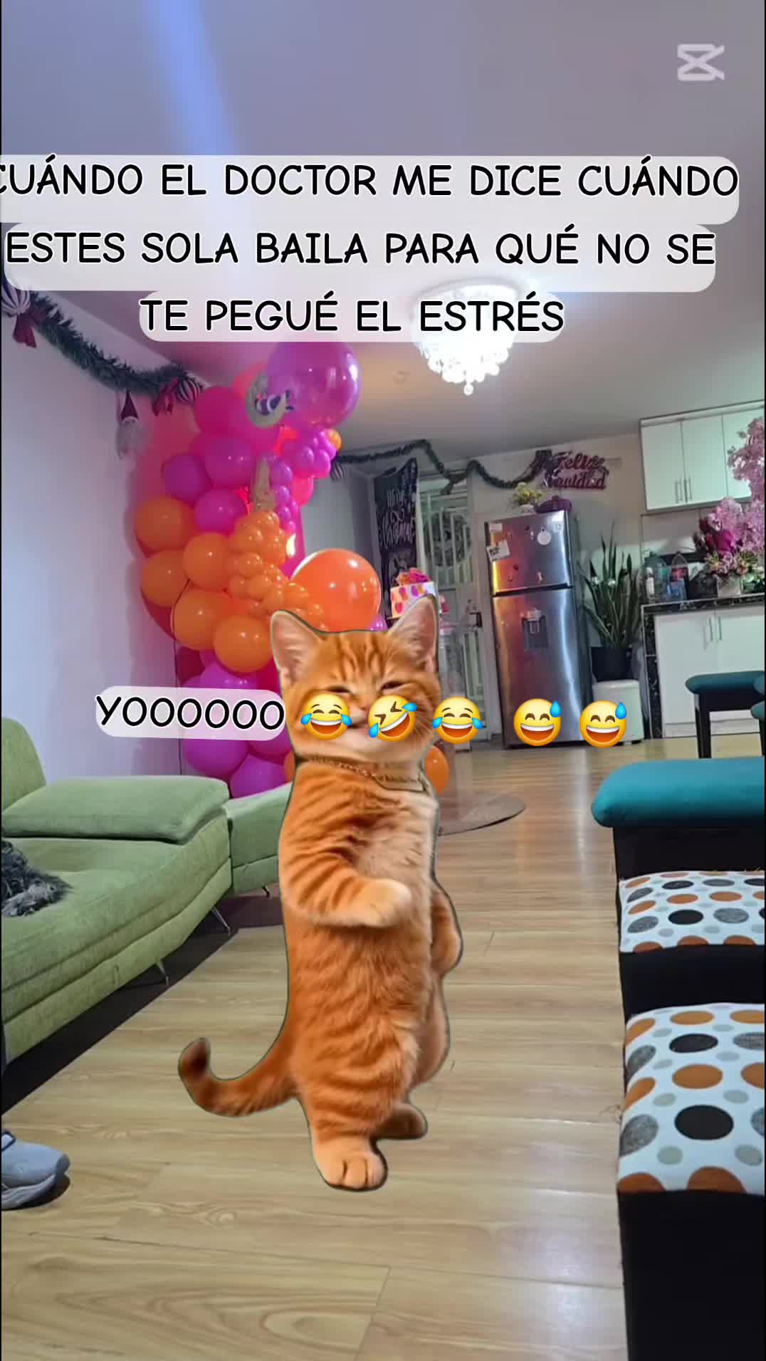 @Barbara Roo