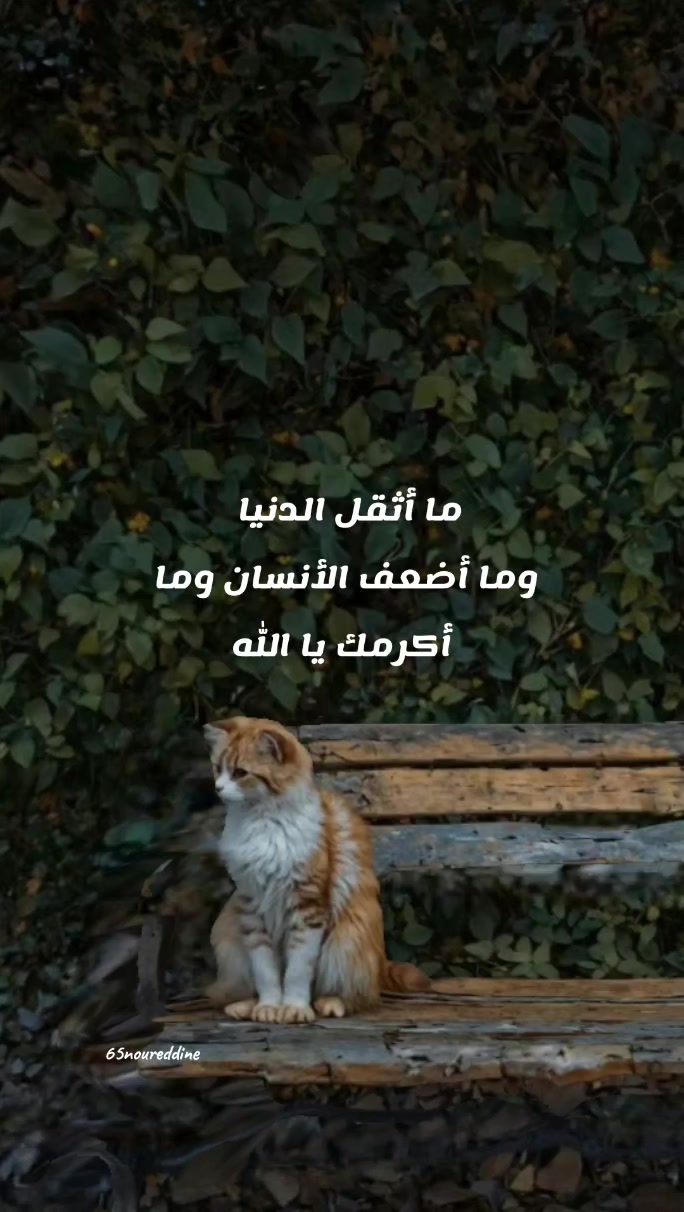 @ِ