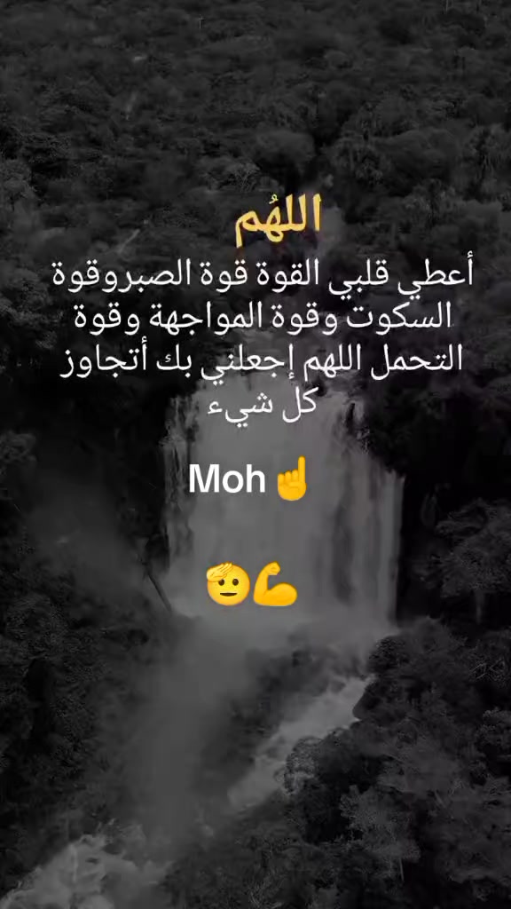 @Moh Mohamed753