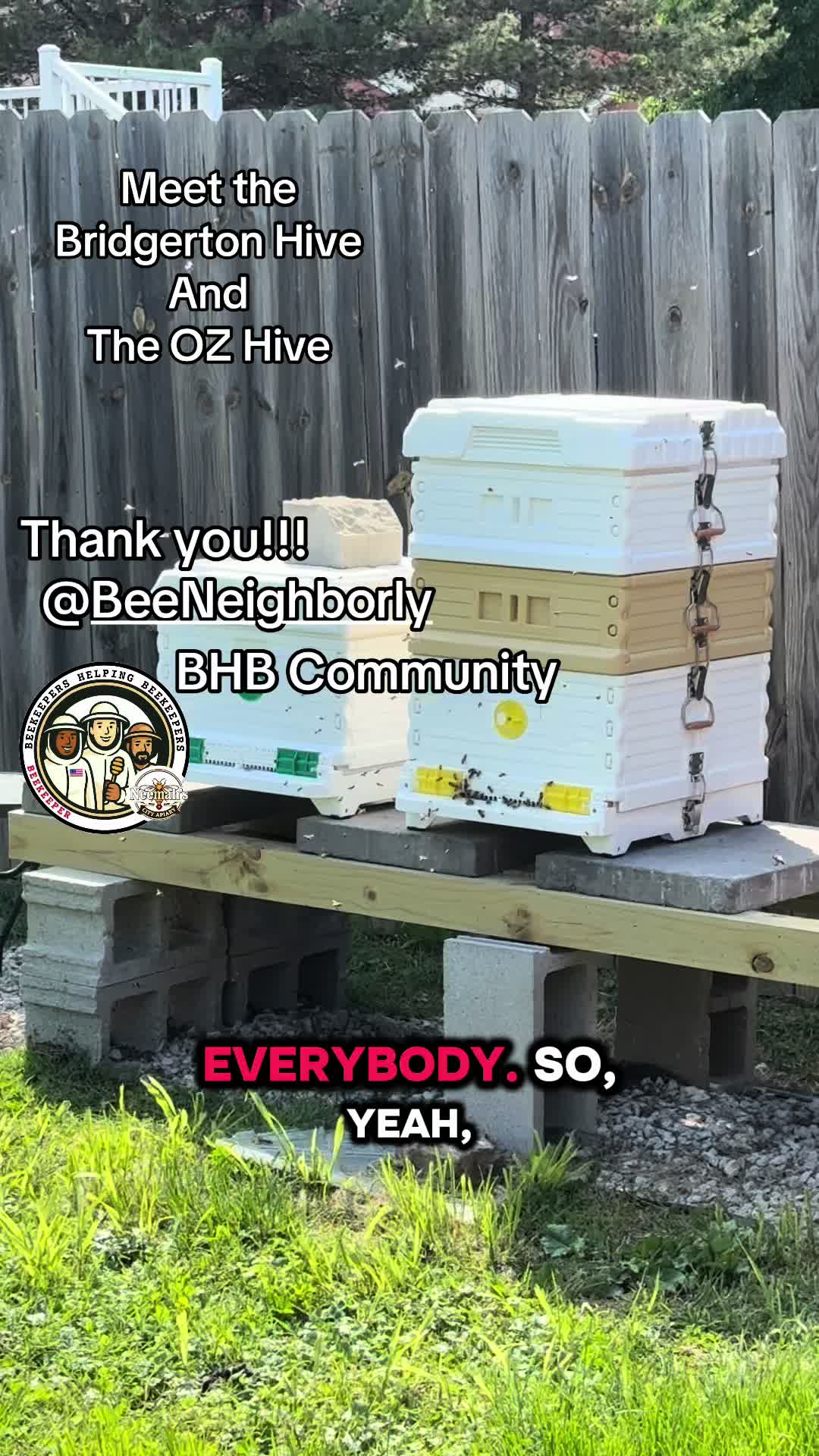 @DivaKBees🐝🐝🐝