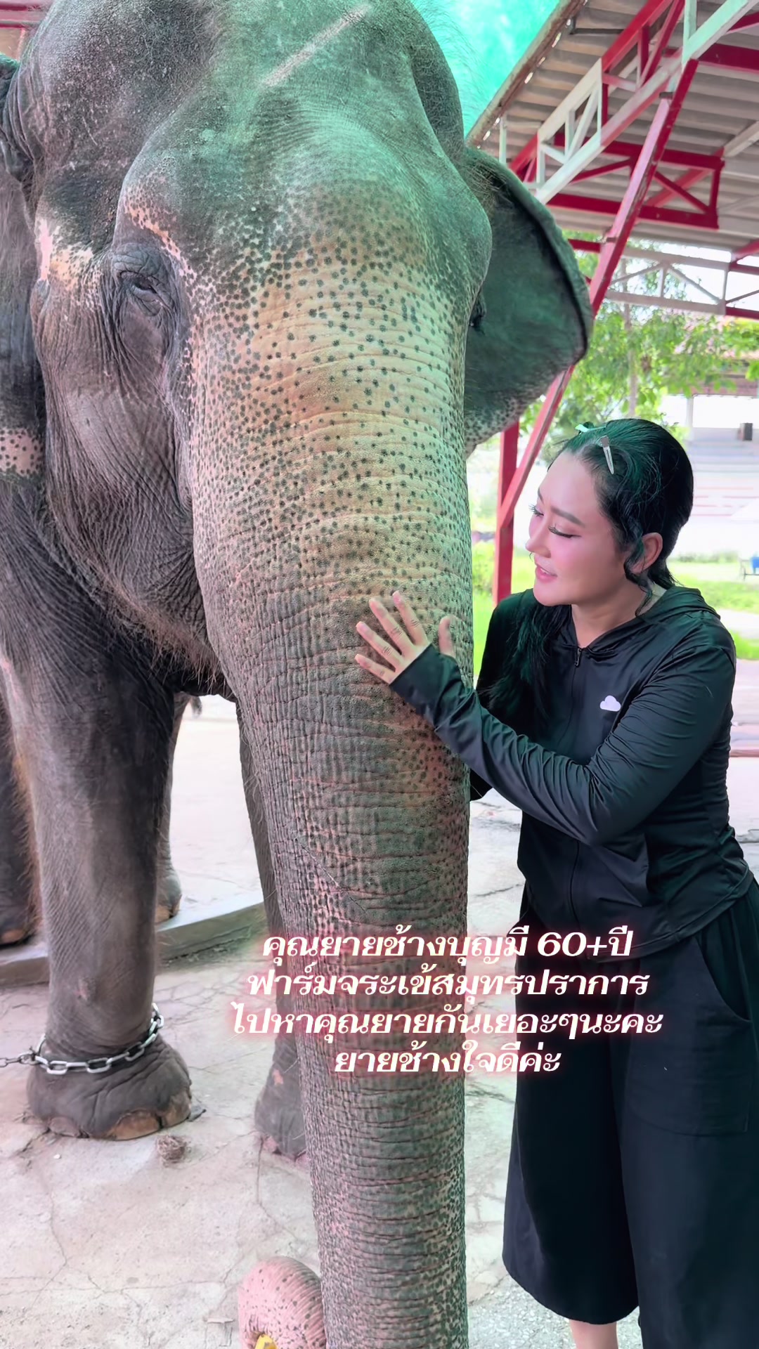 @หญิง ธิติกานต์ Official