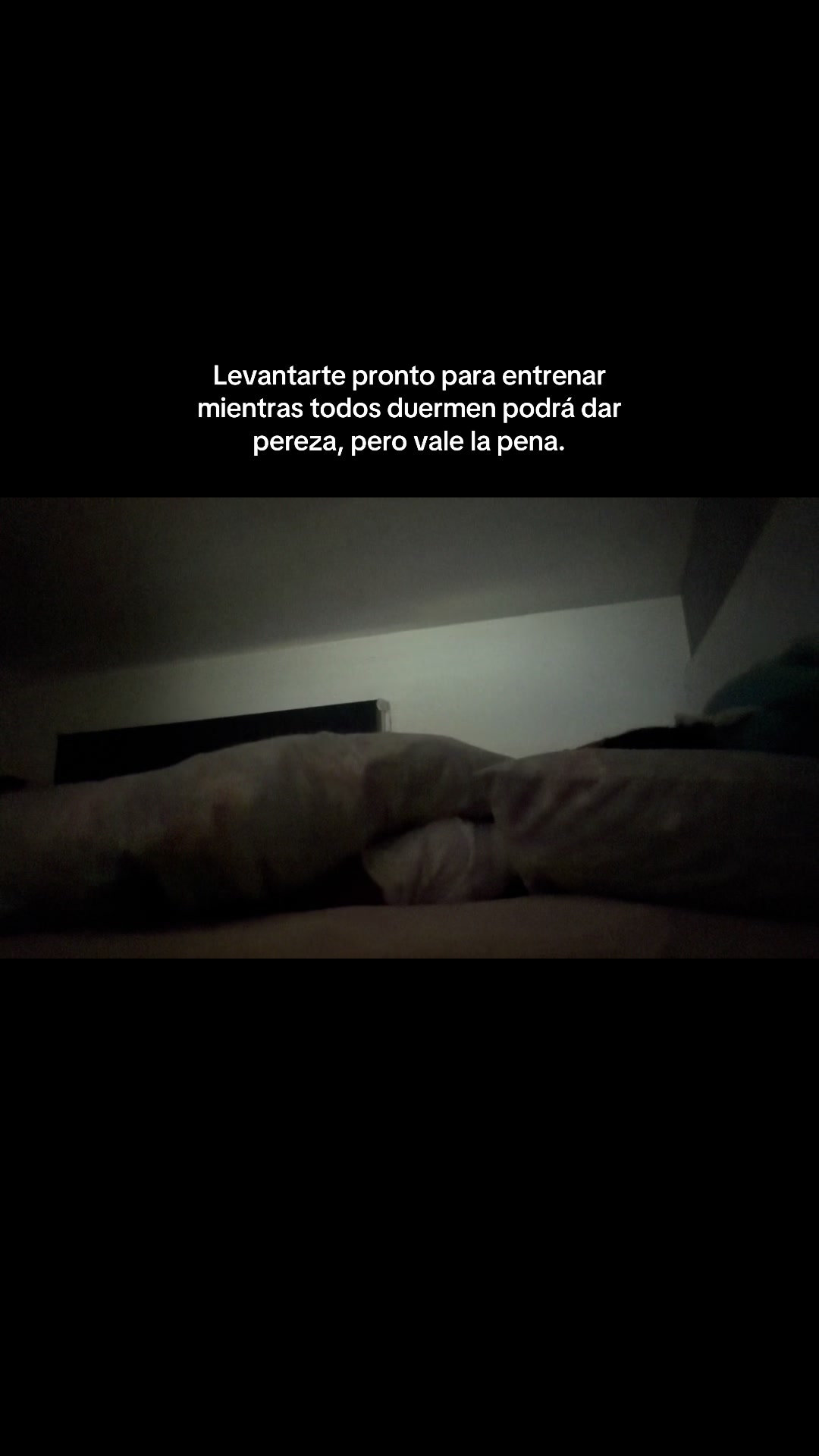 @Luu🪼🏄🏽♂️🦕