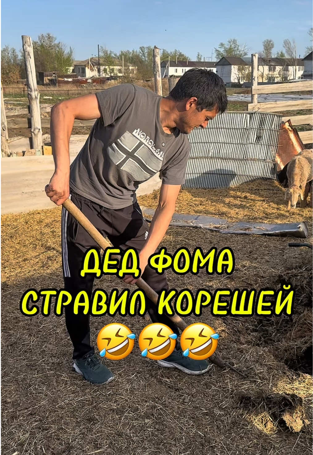 @koresha_official