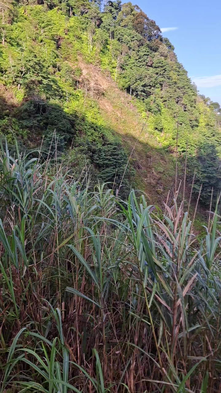 @銘記在心ARP(59-2期)