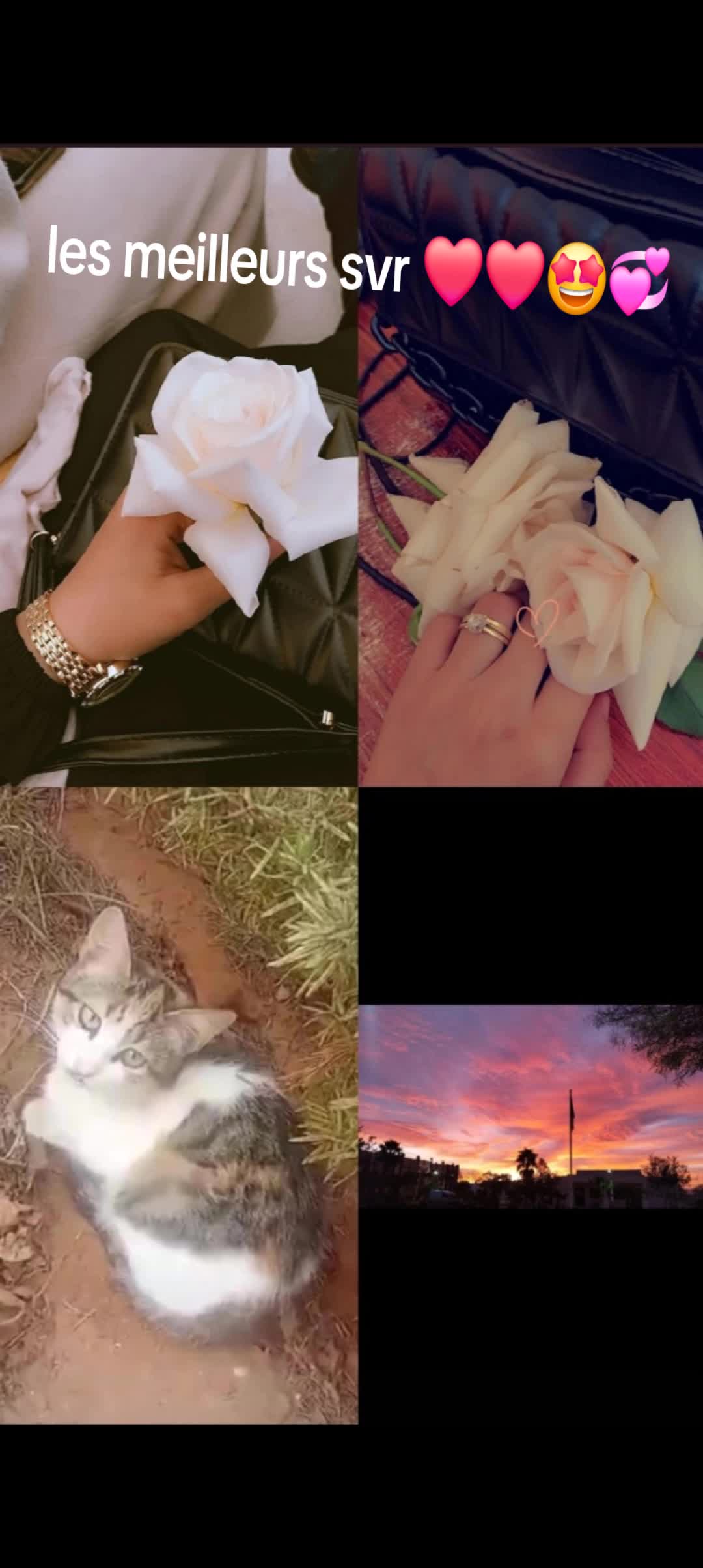 @💞Hãyøūtã27🇩🇿💞