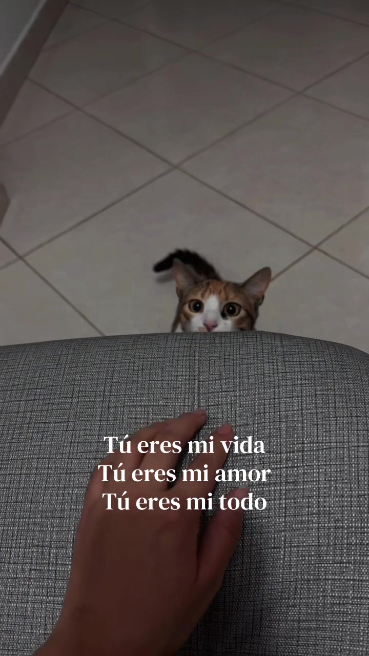 @🥀Pauli Pauli🥀