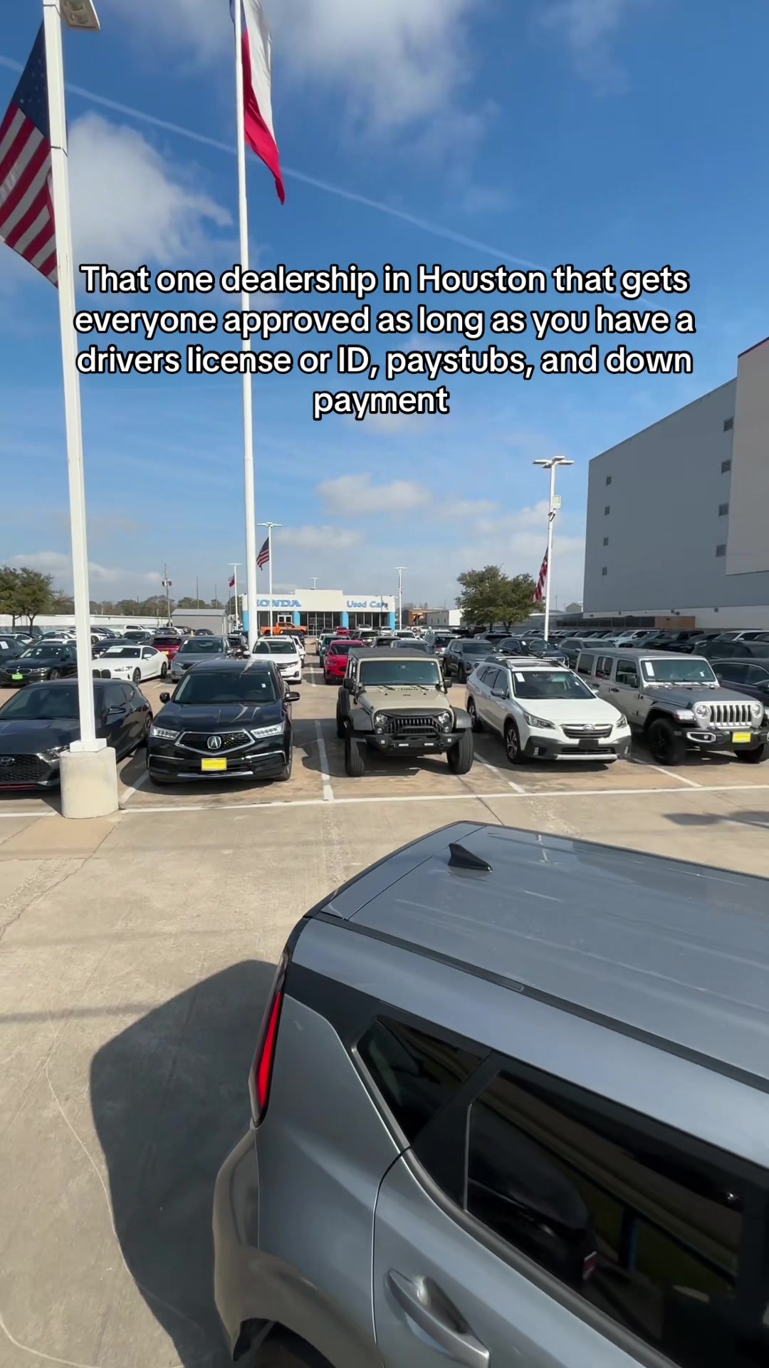 @Mckinleythecarplug