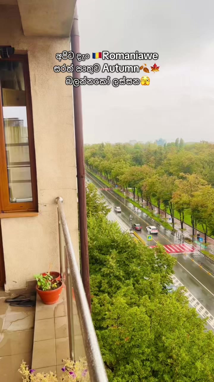 @dimpleboy(sam)🇷🇴🇮🇹🇨🇭🇫🇷