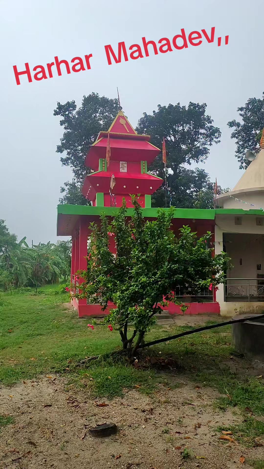@M A N I K MUKHIYA