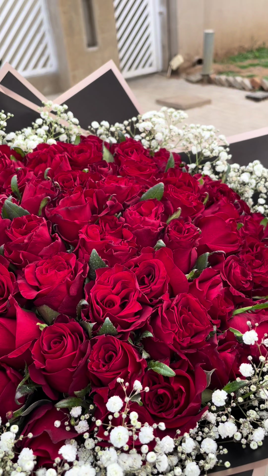 @Purely_Petals 🌺
