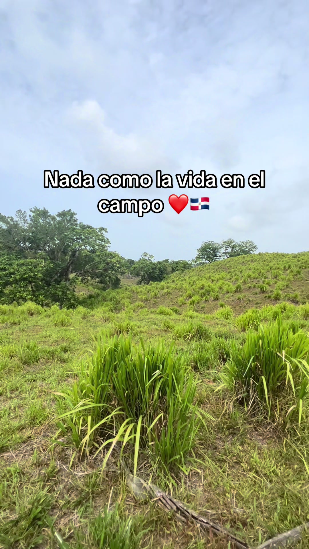 @LingoTwin