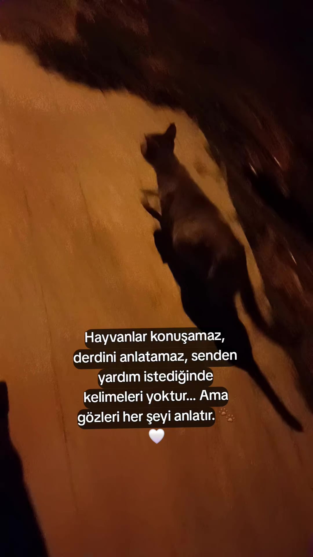 @✨👑 Hanımağa 👑✨