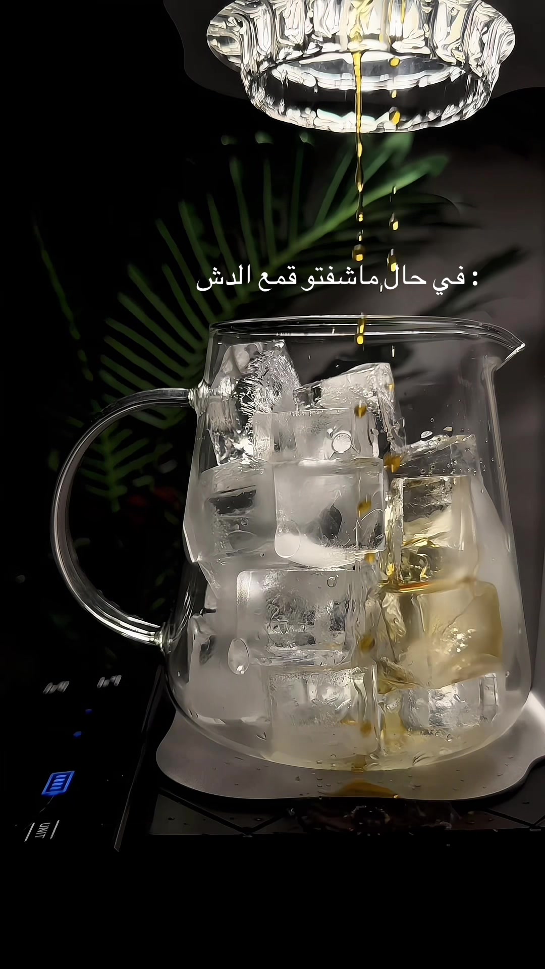 @فَ | ١٩٩٣ 📸