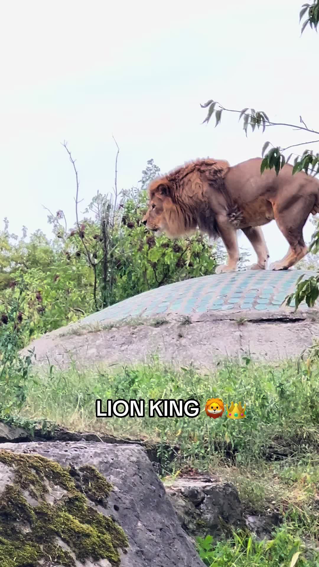 @๐๐๐๐๐๐๐๐๐๐๐๐๐๐