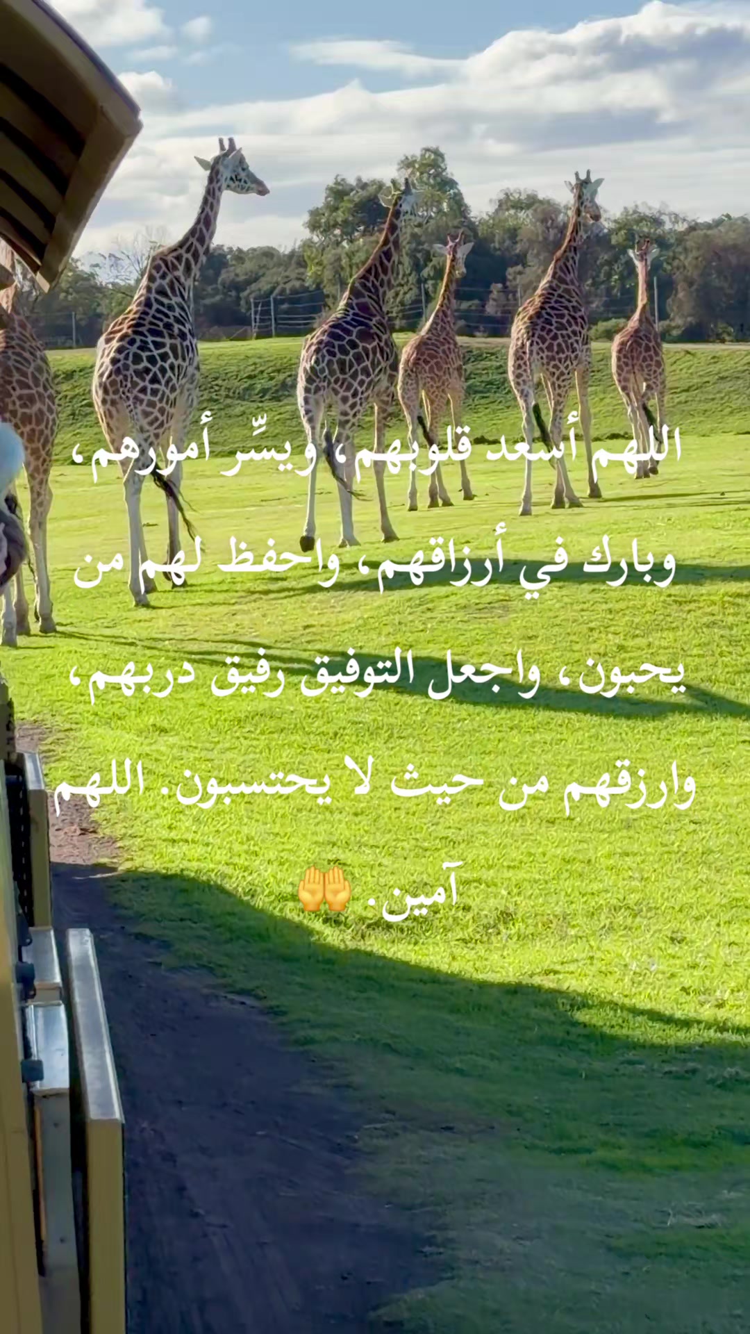 @نور الأمل