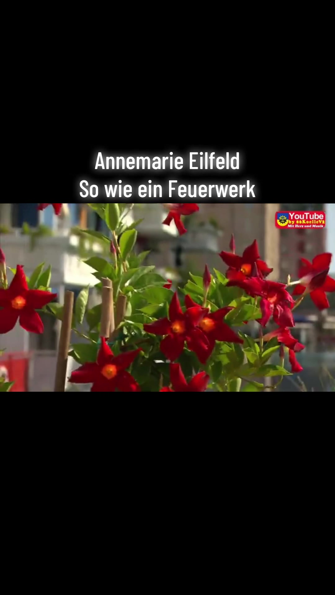 @Larisas_schlagerwelt