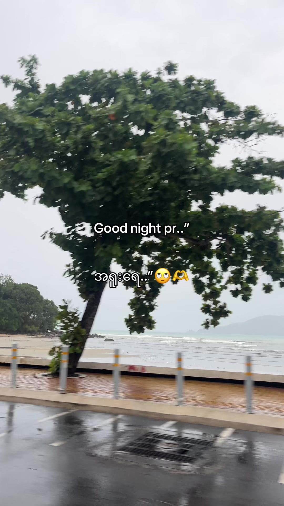 @Hɴɪɴ_𐙚 ̊