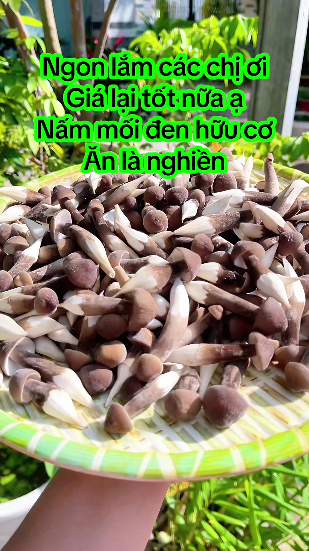 @nguyentuyet_79