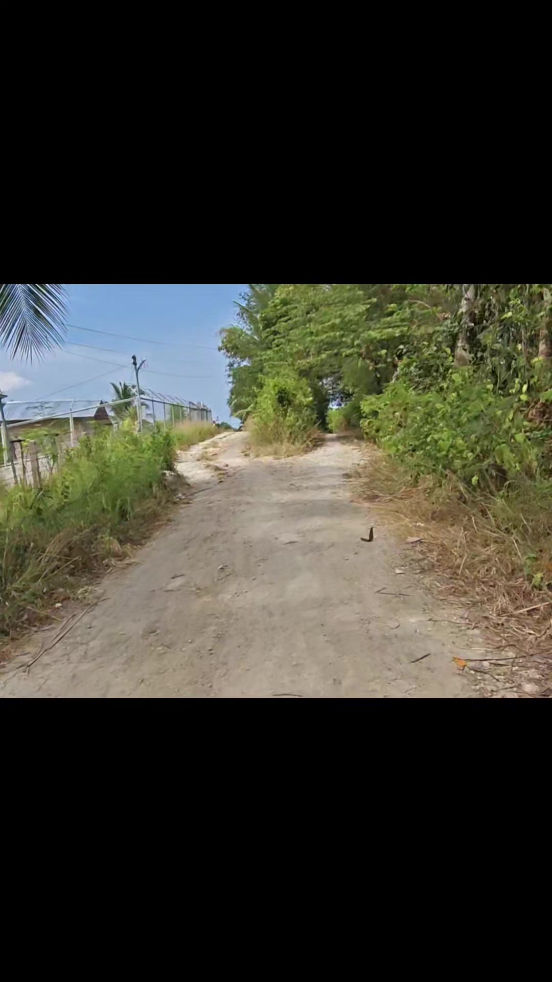 @Julito Pesaña