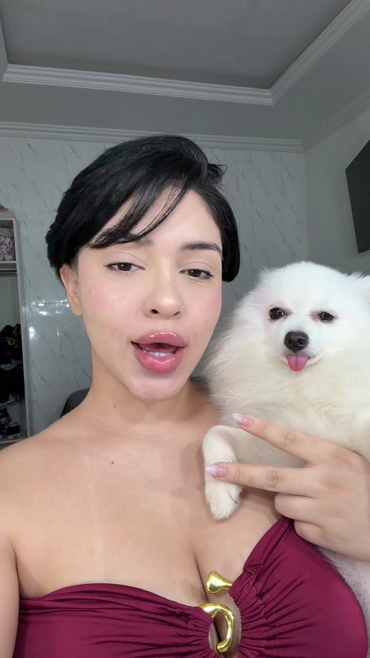 @dailygatuninha