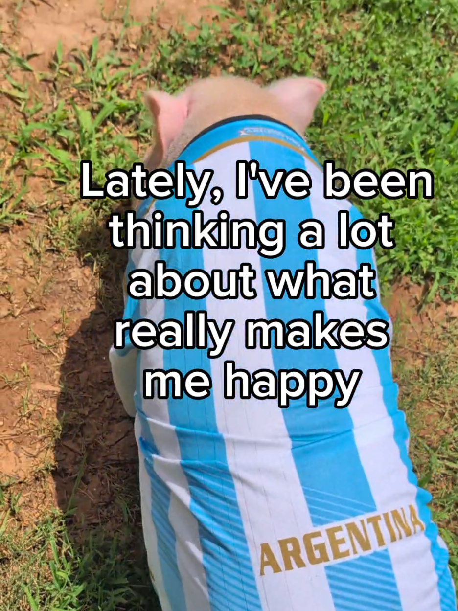@OnePigHappyFamily