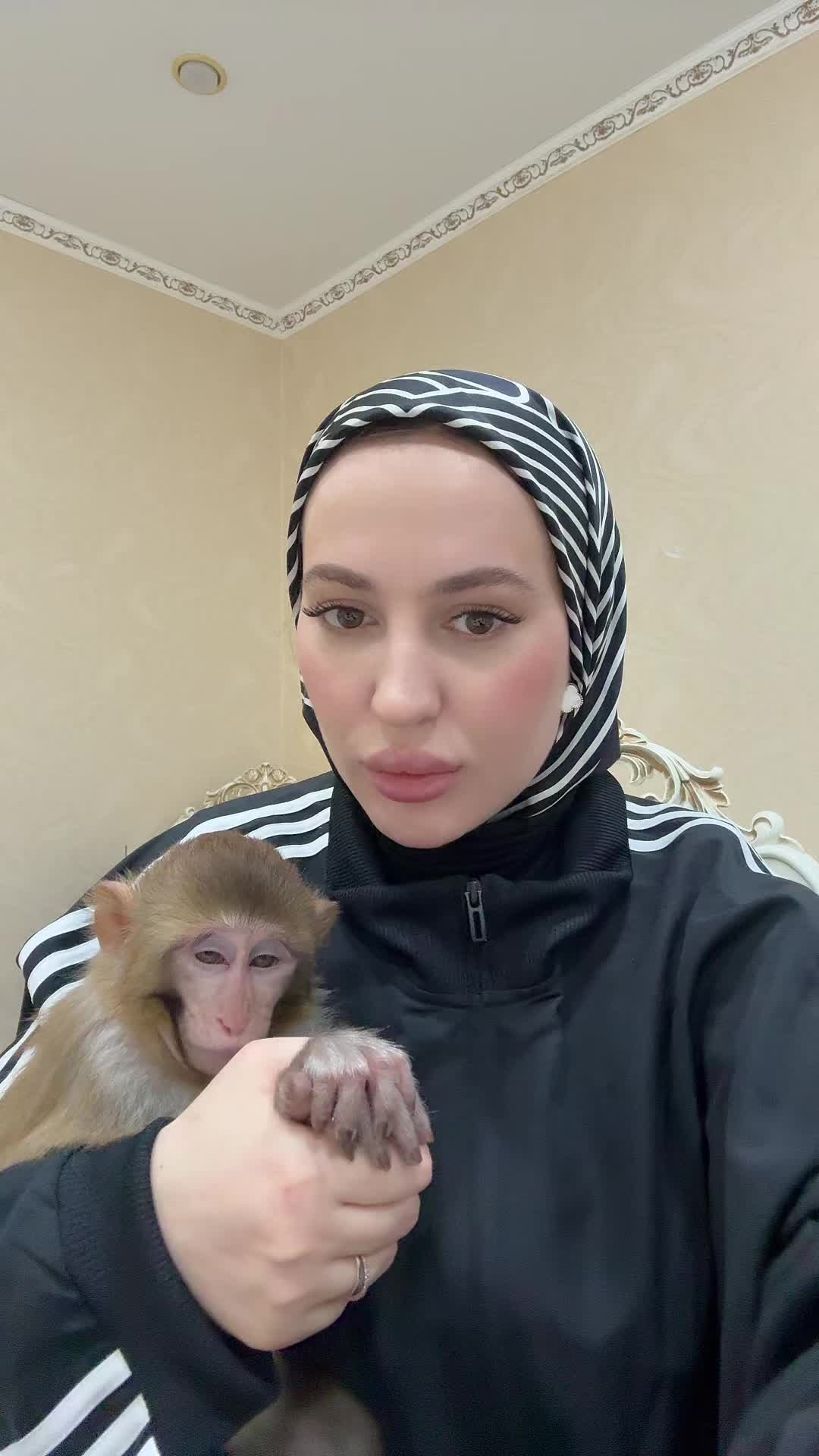 @Gosha
