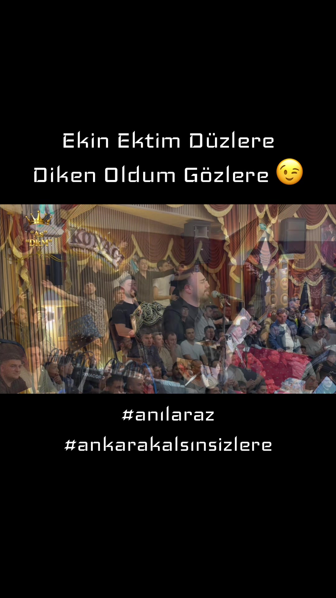 @Anıl Araz