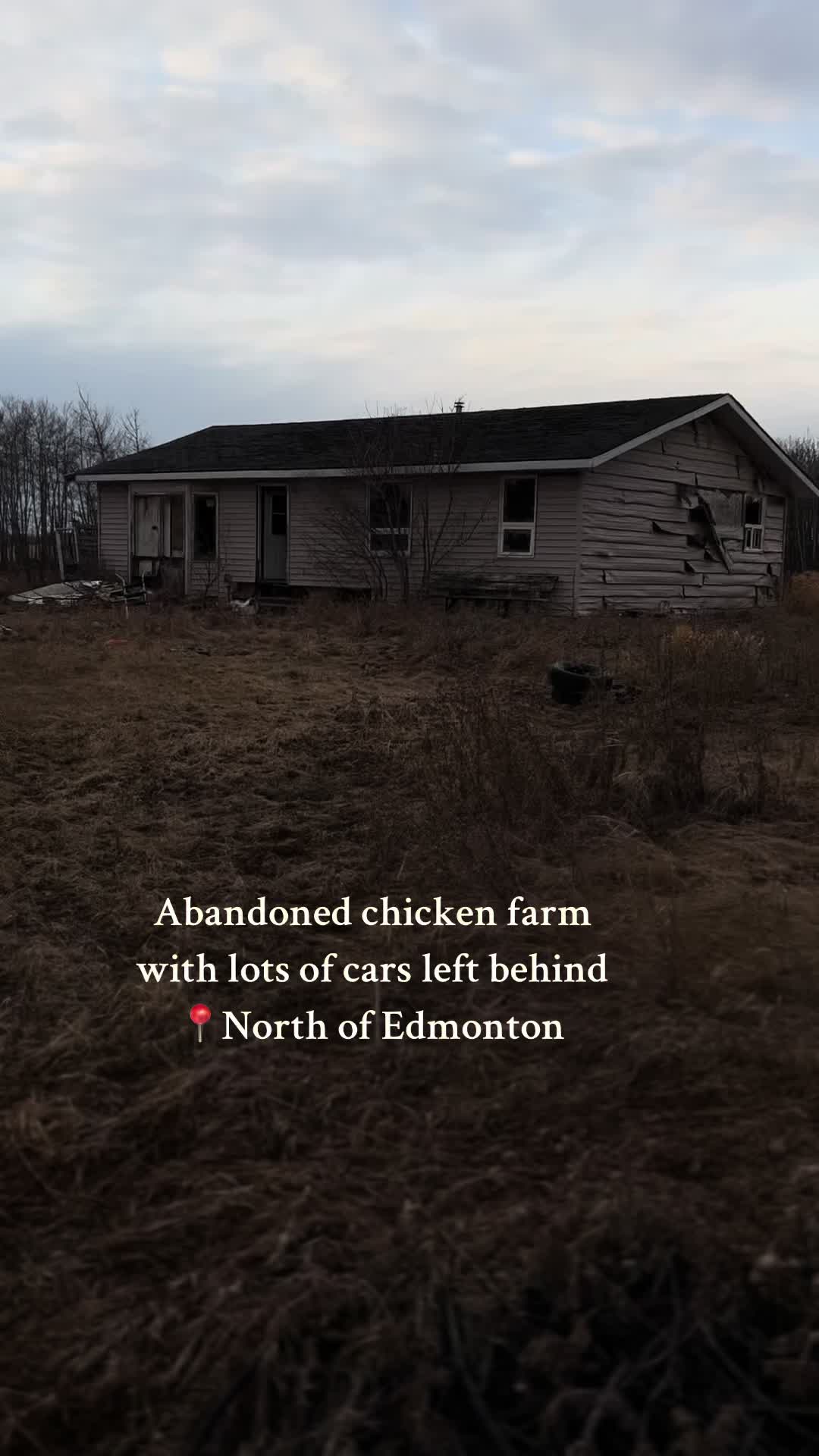 @urban.edmonton