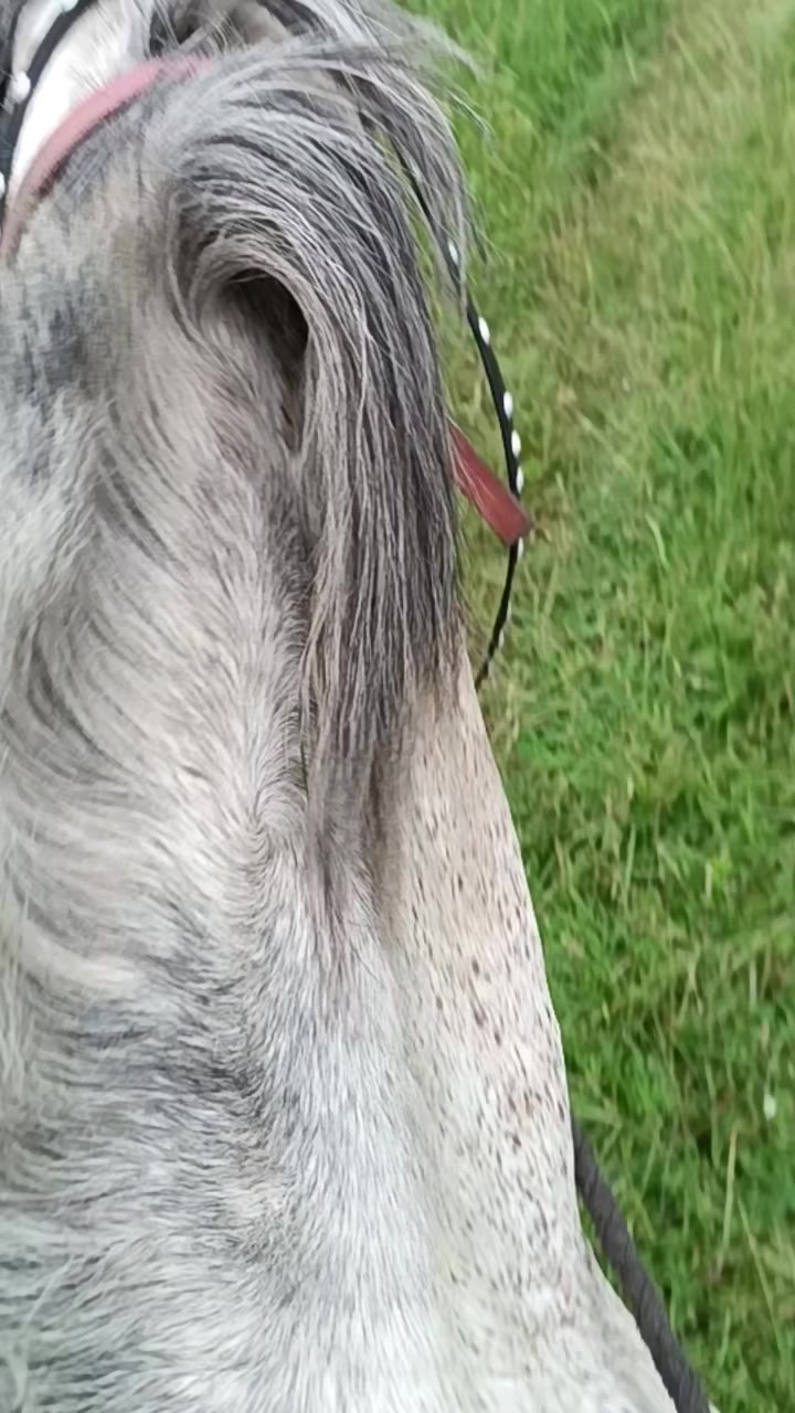 @Елена