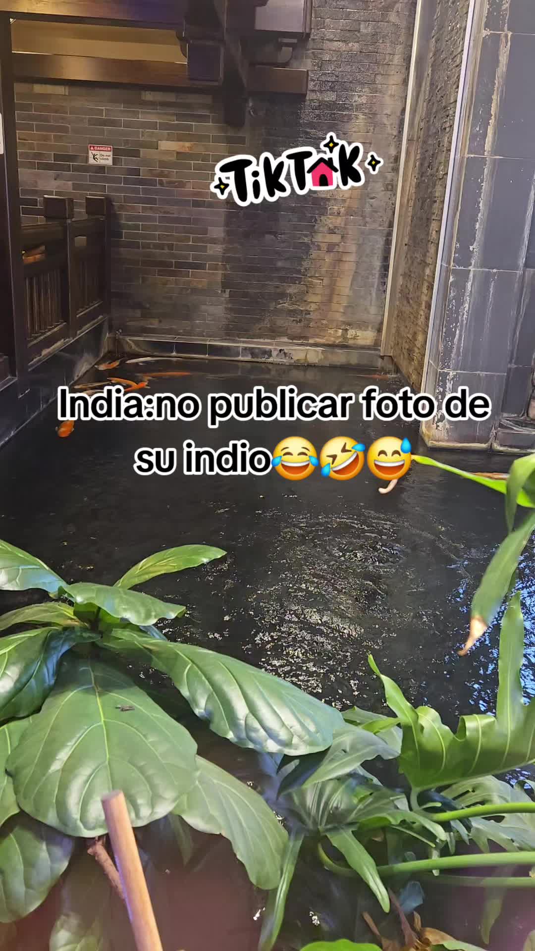 @Ana🤔🤔