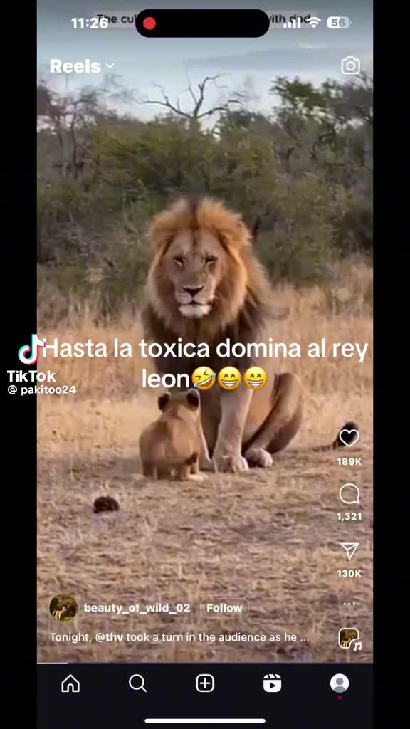 @Tonya