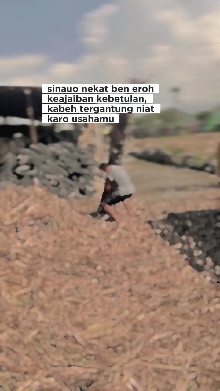 @RT🐥