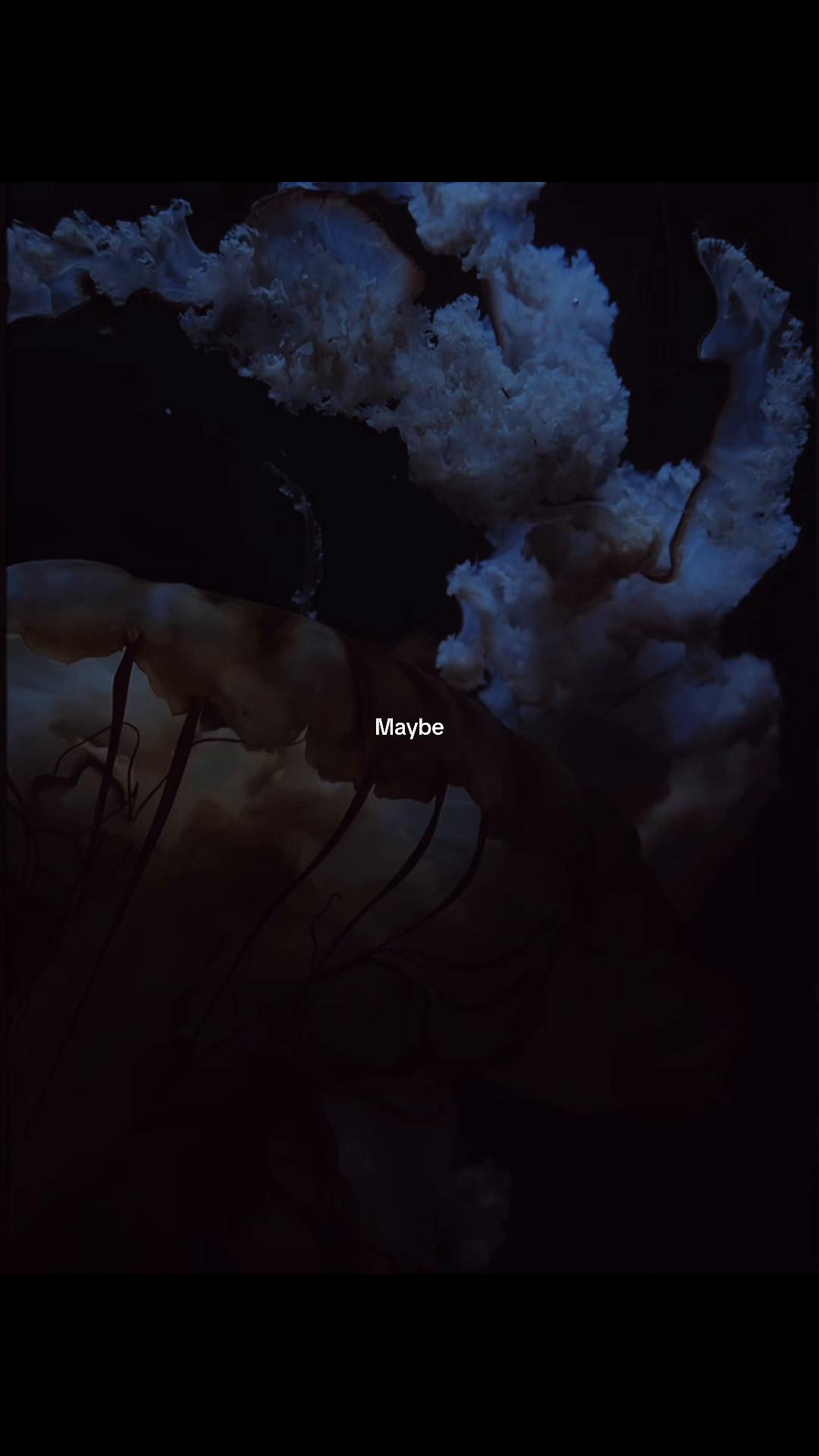 @݁ᛪ༙݁𝕸𝖎𝖘𝖙𝖗𝖊𝖘𝖘ᛪ༙