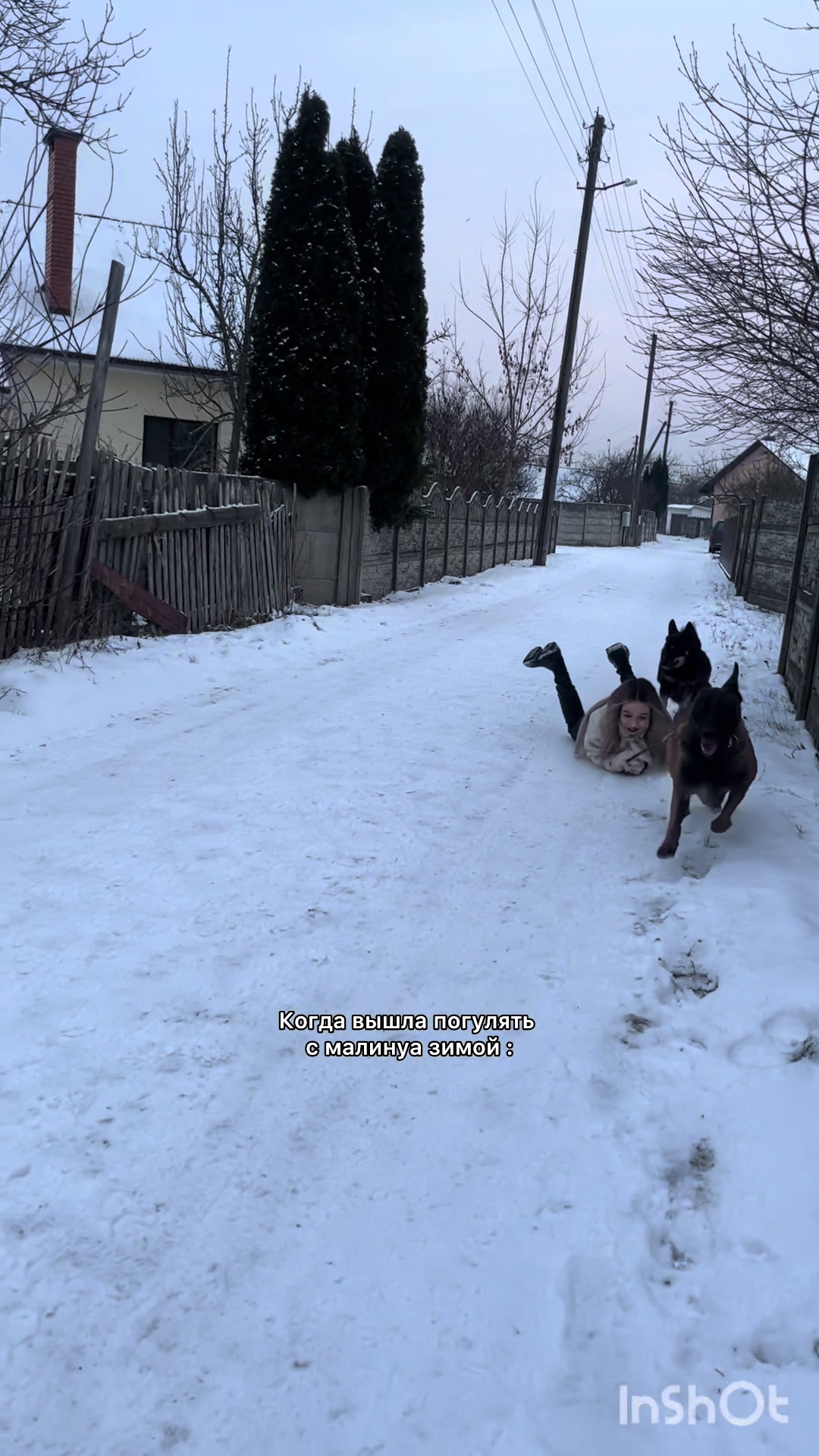 @❗Брест❗ 🐎Конюшня 🐎