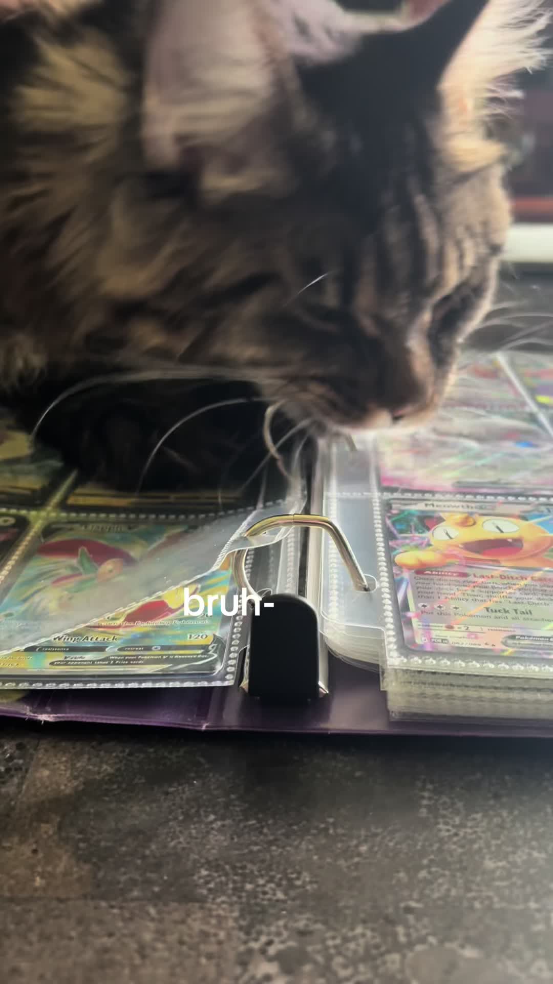 @maryyy🍄🧚🌙🐈⬛